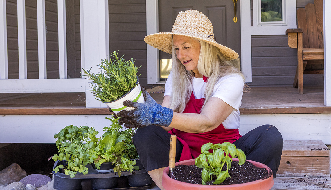 Jardinería Urbana: Aprende a cultivar en espacios pequeños